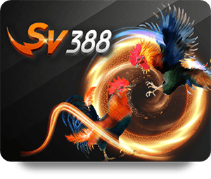 VF555 Casino Đẳng Cấp – Trải Nghiệm Chơi Đỉnh Cao